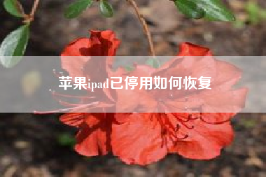 苹果ipad已停用如何恢复--苹果的平板怎么查看ID？（苹果赵子龙官网）