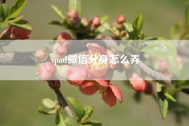 ipad微信分身怎么弄 iPad微信怎么切换账号？（苹果百花香官网）